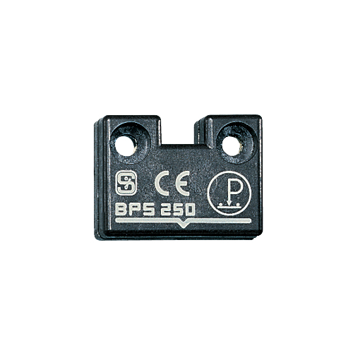 BPS 250 | 101120594